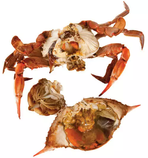 crabshellseparated